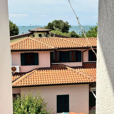 Bulldog * Venedig
